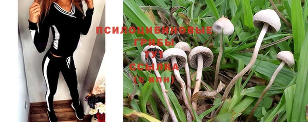 мяу мяу мука Кодинск