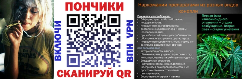 купить наркотик  Орехово-Зуево  Конопля гибрид 